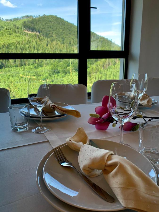 Hotel Карпатський Затишок à Slavsko Extérieur photo