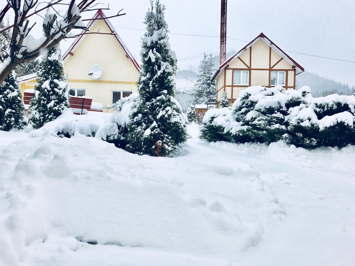 Hotel Карпатський Затишок à Slavsko Extérieur photo