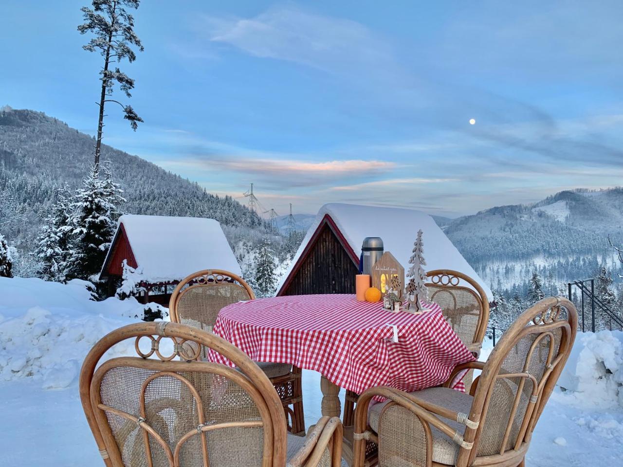 Hotel Карпатський Затишок à Slavsko Extérieur photo