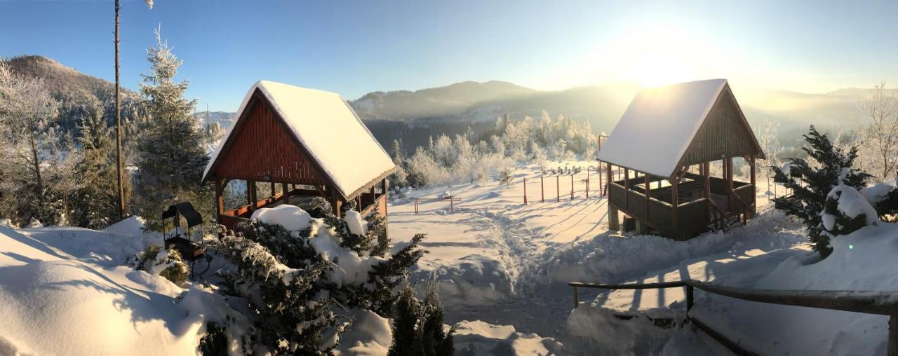 Hotel Карпатський Затишок à Slavsko Extérieur photo